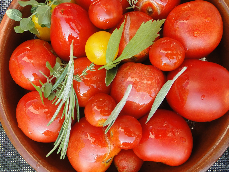 tomato-harvest-660628_1280
